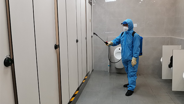 螞蟻、臭蟲滅殺